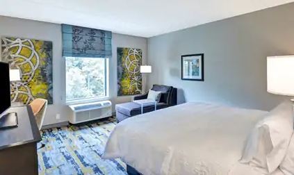 Hotel Hampton Atlanta 3*